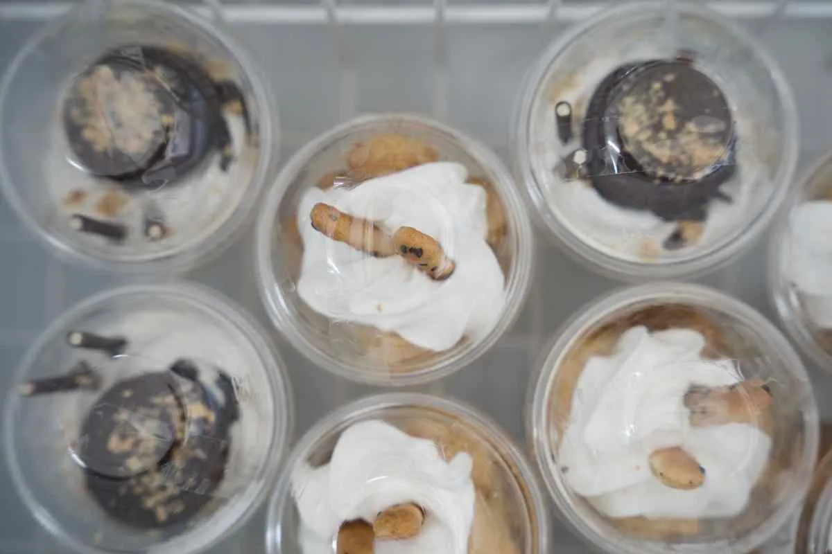 時間に縛られない選択をお届けします